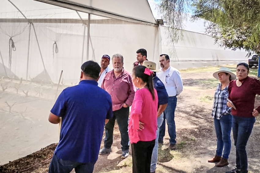 Constituyen en Hidalgo la primera Sociedad Cooperativa con capital migrante 